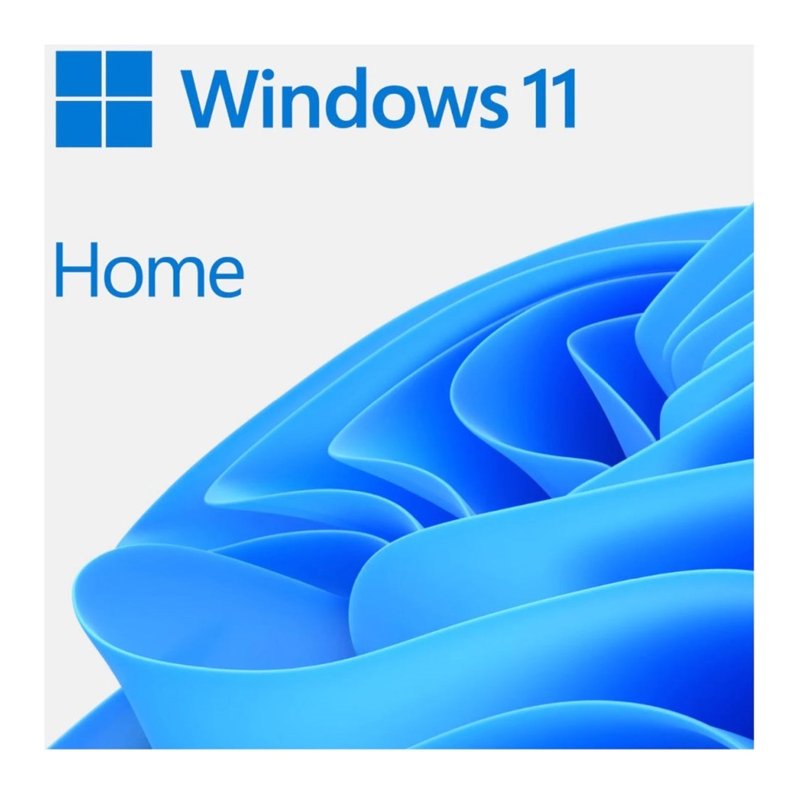 Microsoft Windows 11 Home 64bit English USB Flash Drive Microsoft Windows 11 Home 64bit English USB Flash Drive